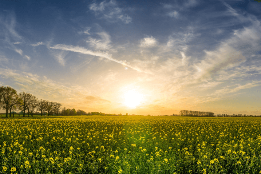 Significado do equinócio da primavera